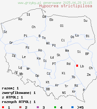 znaleziska Hypocrea strictipilosa na terenie Polski