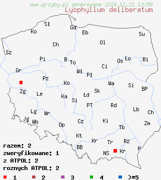 znaleziska Lyophyllum deliberatum (kępkowiec romboidalnozarodnikowy) na terenie Polski