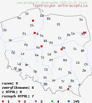 znaleziska Tephrocybe anthracophila (popielatek węglolubny) na terenie Polski