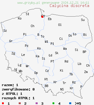 znaleziska Calycina discreta na terenie Polski