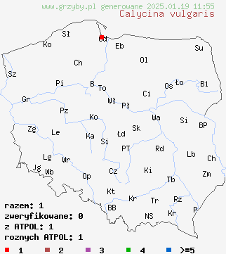 znaleziska Calycina vulgaris na terenie Polski