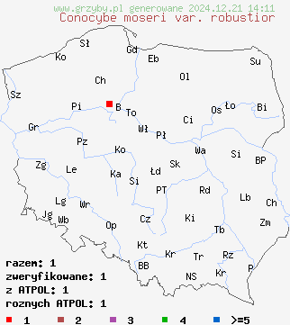 znaleziska Conocybe moseri var. robustior na terenie Polski