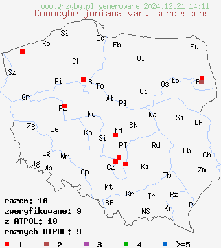 znaleziska Conocybe juniana var. sordescens na terenie Polski