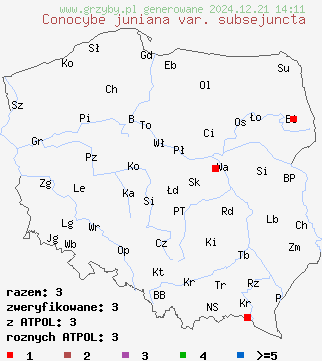 znaleziska Conocybe juniana var. subsejuncta na terenie Polski