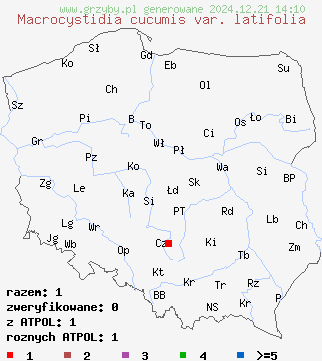 znaleziska Macrocystidia cucumis var. latifolia na terenie Polski