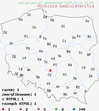 znaleziska Alnicola badiolateritia na terenie Polski