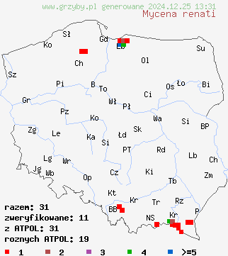 znaleziska Mycena renati (grzybówka złototrzonowa) na terenie Polski