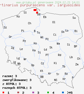 znaleziska Cortinarius purpurascens var. largusoides (zasłonak purpurowiejący odm. mięsista) na terenie Polski