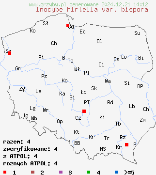 znaleziska Inocybe hirtella var. bispora na terenie Polski