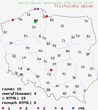 znaleziska Tricholoma apium (gąska selerowa) na terenie Polski