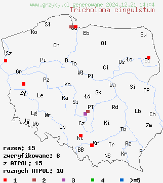 znaleziska Tricholoma cingulatum (gąska wierzbowa) na terenie Polski