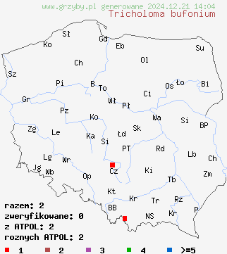 znaleziska Tricholoma bufonium (gąska winnobrązowa) na terenie Polski