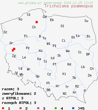 znaleziska Tricholoma psammopus (gąska modrzewiowa) na terenie Polski