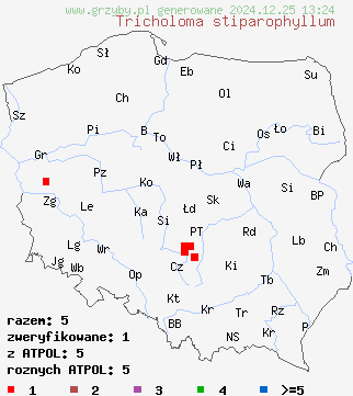 znaleziska Tricholoma stiparophyllum (gąska jasna) na terenie Polski