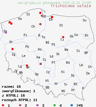 znaleziska Tricholoma ustale (gąska bukowa) na terenie Polski