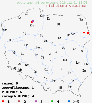 znaleziska Tricholoma vaccinum (gąska krowia) na terenie Polski