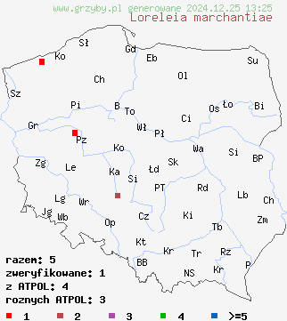 znaleziska Loreleia marchantiae (pępóweczka wątrobowcowa) na terenie Polski