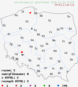 znaleziska Armillaria (opieńka) na terenie Polski