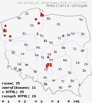 znaleziska Armillaria ostoyae (opieńka ciemna) na terenie Polski