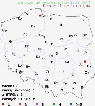 znaleziska Desarmillaria ectypa (podopieńka torfowiskowa) na terenie Polski