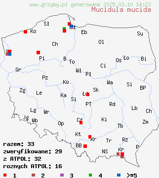 znaleziska Mucidula mucida (monetka bukowa) na terenie Polski