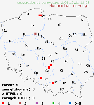 znaleziska Marasmius curreyi (twardzioszek czerwonobrązowy) na terenie Polski