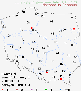 znaleziska Marasmius limosus (twardzioszek trzcinowy) na terenie Polski