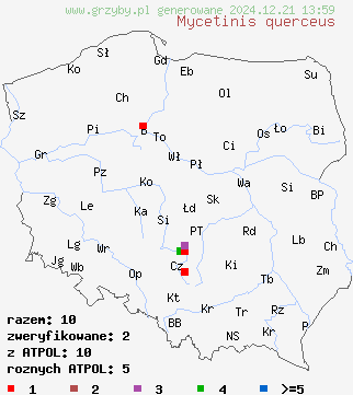 znaleziska Mycetinis querceus (twardzioszek szczypiórkowy) na terenie Polski