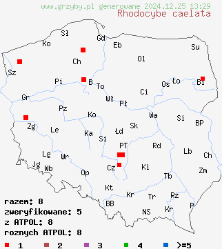 znaleziska Rhodocybe caelata (bruzdniczka piaskowa) na terenie Polski