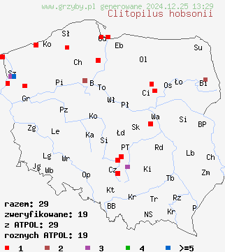 znaleziska Clitopilus hobsonii (bruzdniczek malutki) na terenie Polski