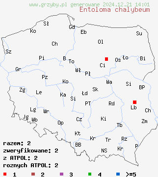 znaleziska Entoloma chalybeum (dzwonkówka czarnoniebieskawa) na terenie Polski