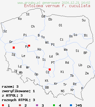 znaleziska Entoloma vernum f. cucullata na terenie Polski