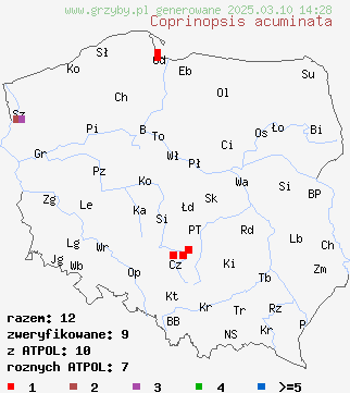 znaleziska Coprinopsis acuminata na terenie Polski