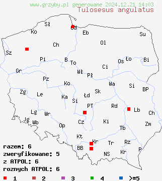 znaleziska Tulosesus angulatus (czernidłak kanciastozarodnikowy) na terenie Polski