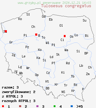 znaleziska Tulosesus congregatus na terenie Polski