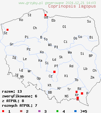 znaleziska Coprinopsis lagopus (czernidłak srokaty) na terenie Polski