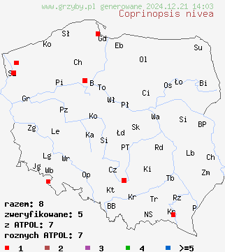 znaleziska Coprinopsis nivea (czernidłak śnieżnobiały) na terenie Polski