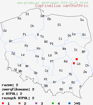 znaleziska Coprinellus xanthothrix (czernidłak żółtołuseczkowy) na terenie Polski