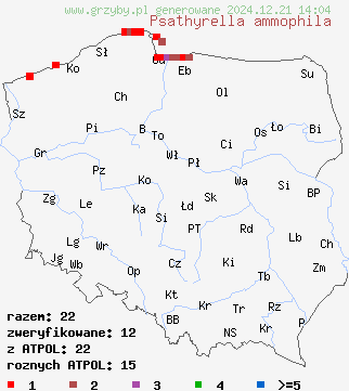 znaleziska Psathyrella ammophila (kruchaweczka piaskowa) na terenie Polski