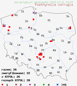 znaleziska Psathyrella corrugis (kruchaweczka wysmukła) na terenie Polski