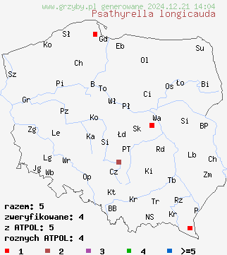 znaleziska Psathyrella longicauda na terenie Polski