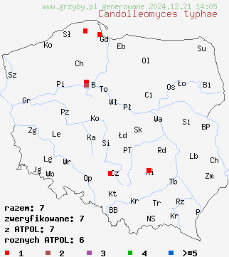 znaleziska Candolleomyces typhae na terenie Polski