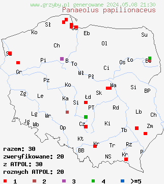 znaleziska Panaeolus papilionaceus (kołpaczek mierzwowy) na terenie Polski
