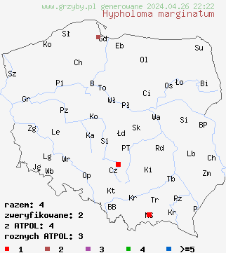 znaleziska Hypholoma marginatum na terenie Polski