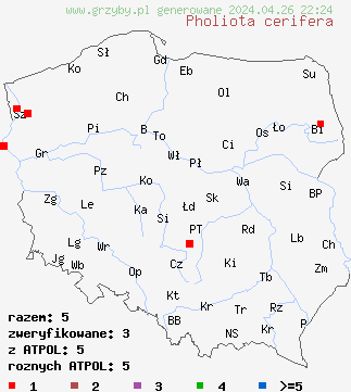znaleziska Pholiota aurivella na terenie Polski
