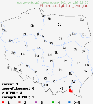 znaleziska Phaeocollybia jennyae na terenie Polski