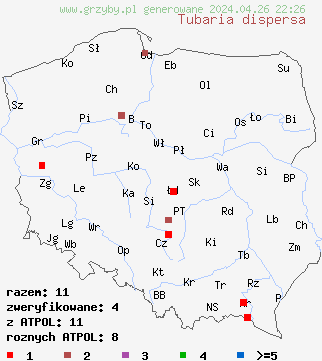 znaleziska Tubaria dispersa na terenie Polski