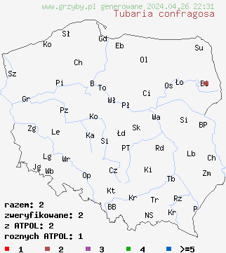 znaleziska Tubaria confragosa na terenie Polski