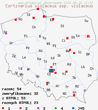 znaleziska Cortinarius violaceus ssp. violaceus na terenie Polski