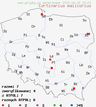 znaleziska Cortinarius malicorius na terenie Polski